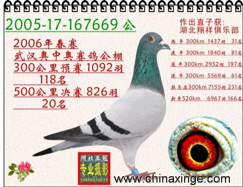 hWЊWA(y)ِ118Qِ281800Ԫ
