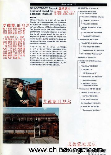 杰克.吐尼爾之子.